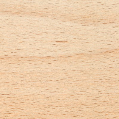 Beech — Dune
