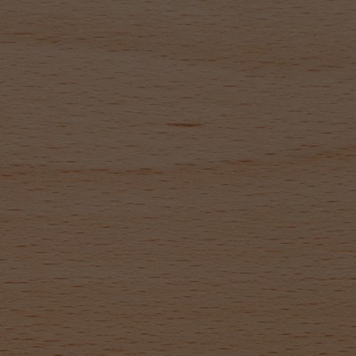 Beech — Ember