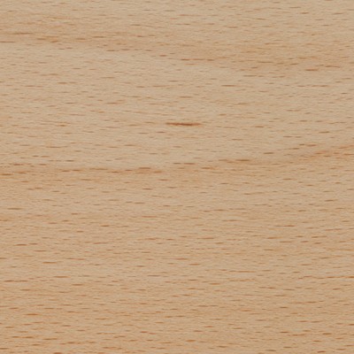 Beech — Hearth