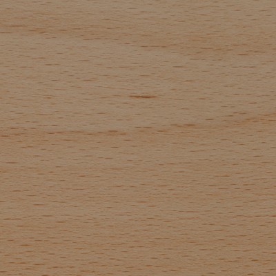 Beech — Timber