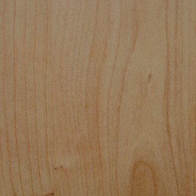 Maple — Timber